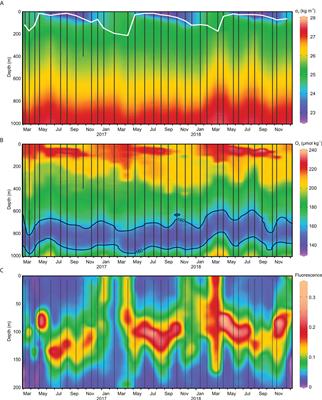 The protist community traces seasonality and mesoscale hydrographic features in the oligotrophic Sargasso Sea